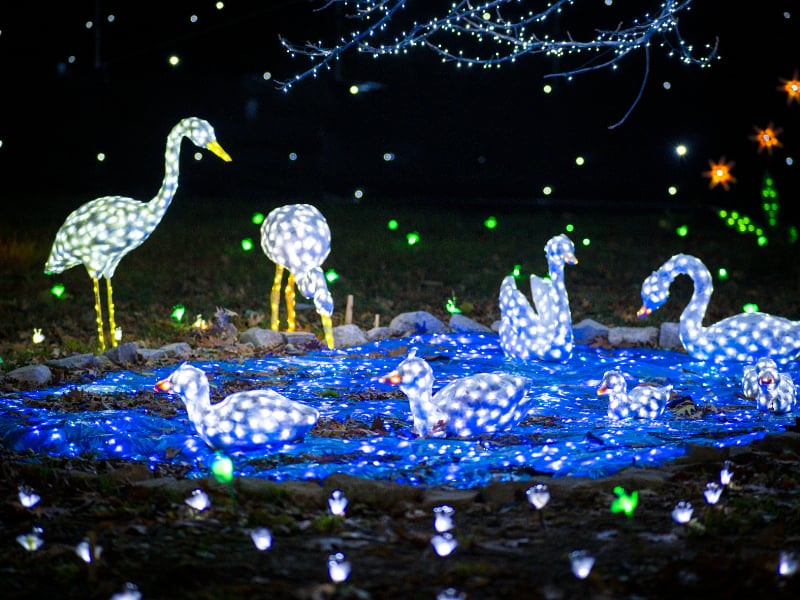 Questo piccolo borgo della Lombardia, tra un mese, si vestirà di lucine e addobbi natalizi Questo piccolo borgo della Lombardia, tra un mese, si vestirà di lucine e addobbi natalizi