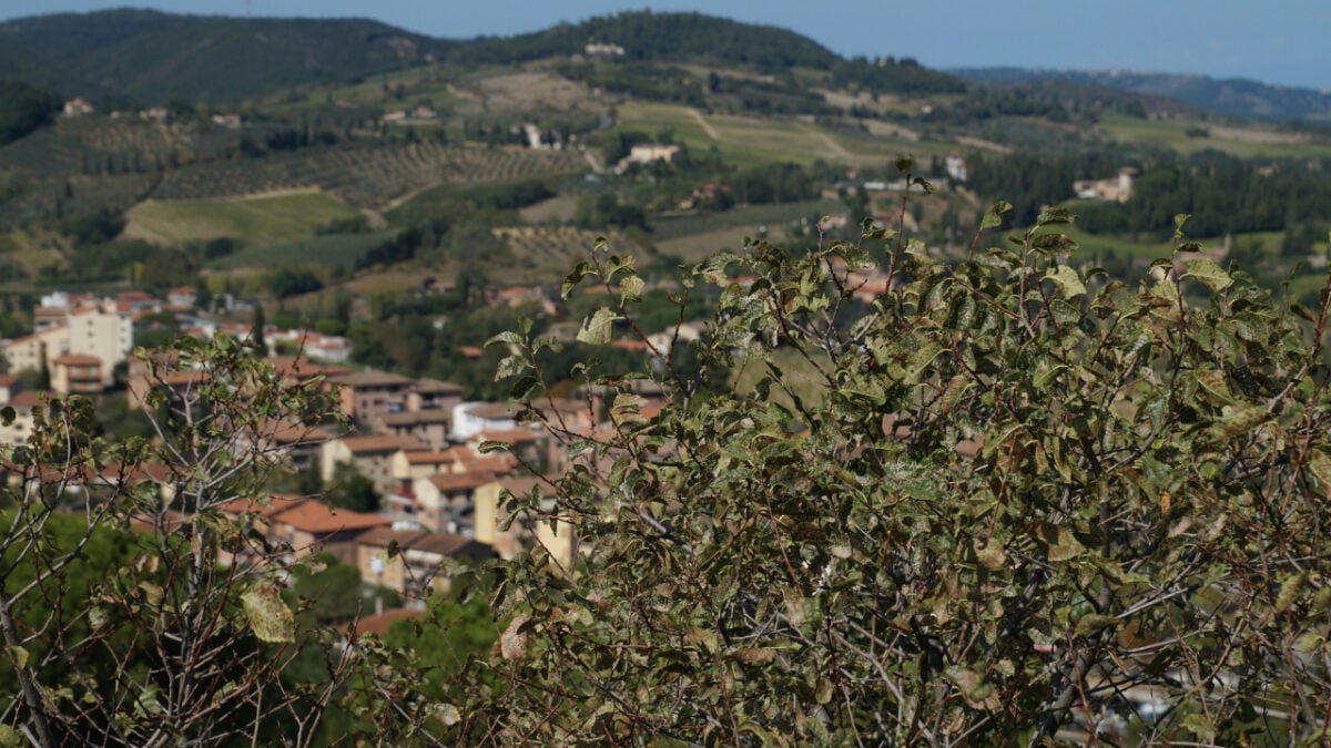 In Toscana si trova un delizioso borgo dall’atmosfera tranquilla e romantica In Toscana si trova un delizioso borgo dall’atmosfera tranquilla e romantica
