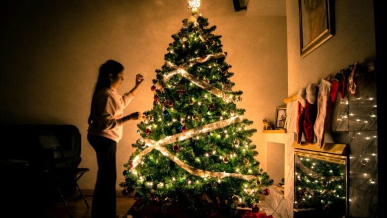 Natale 2025, come decorare l’Albero: stili, materiali e colori, ecco le tendenze più attuali…
