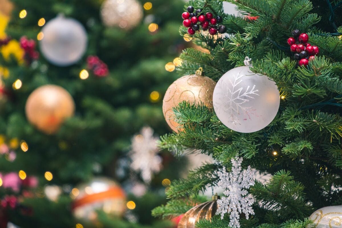 Natale 2025, come decorare l’Albero: stili, materiali e colori, ecco le tendenze più attuali… Natale 2025, come decorare l’Albero: stili, materiali e colori, ecco le tendenze più attuali…