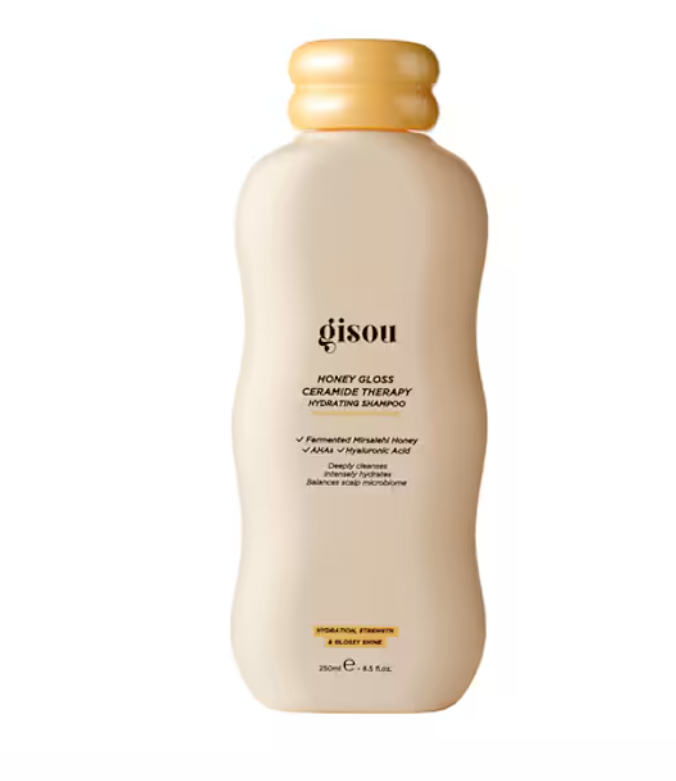 Shampoo Gloss: il segreto per Capelli sani e lucenti a Natale Shampoo Gloss: il segreto per Capelli sani e lucenti a Natale