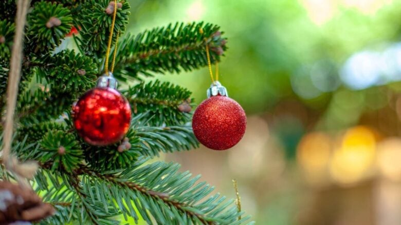 Sono questi i Mercatini di Natale più belli del Canton Friburgo in Svizzera