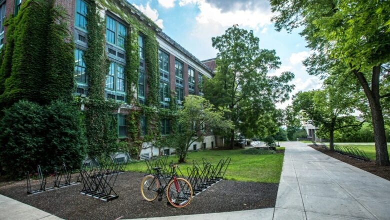 Ecco perché sempre più italiani scelgono il co-living: di cosa si tratta e perché è un fenomeno in crescita