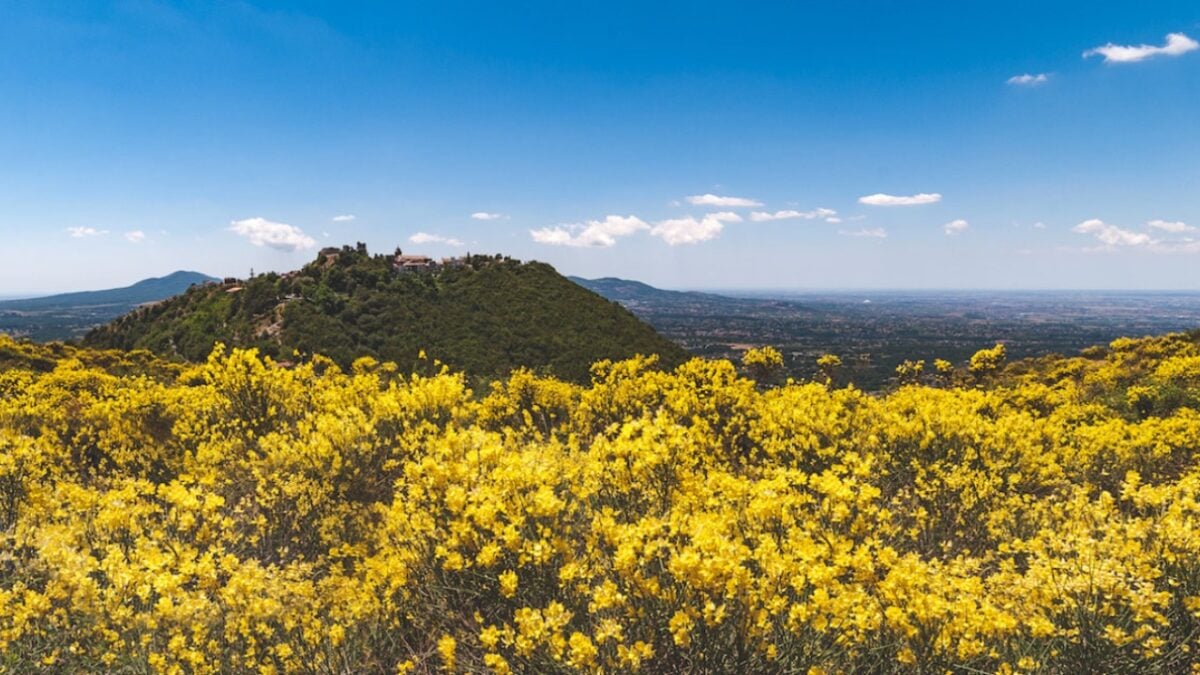 Arroccato sulla cima del Monte Ginestro, ecco un Borgo unico da visitare in Primavera Arroccato sulla cima del Monte Ginestro, ecco un Borgo unico da visitare in Primavera