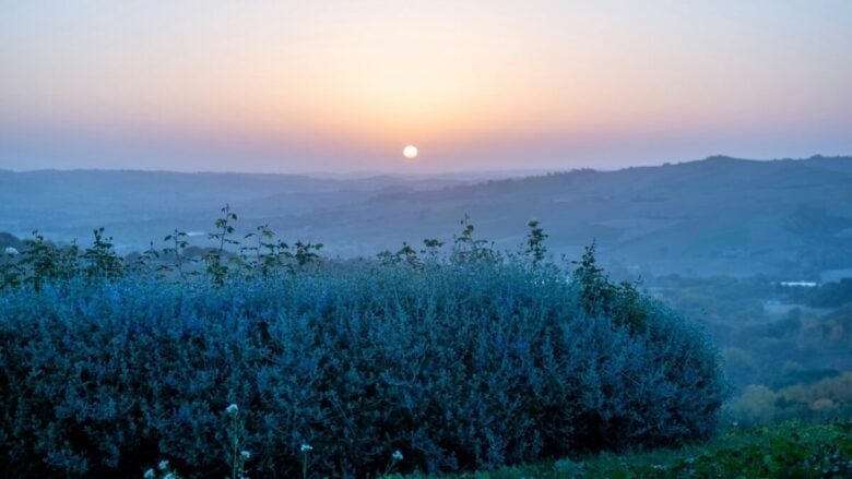 Cingoli è il ‘Borgo dei Borghi 2026’: lo splendido paese Marchigiano conquista il titolo Rai