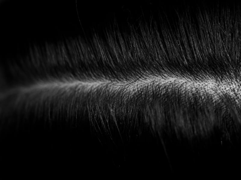 5 Consigli utili per evitare la caduta dei capelli nel cambio di stagione