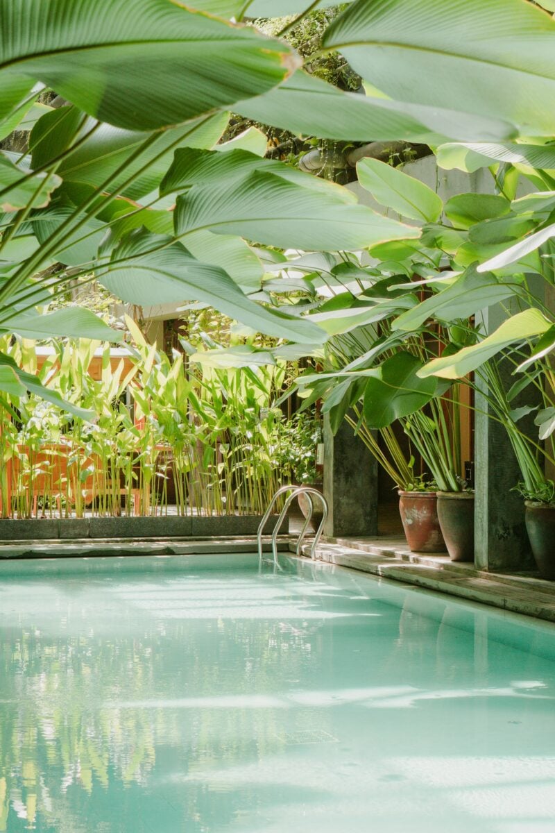 Come arredare il bordo piscina: idee, piante e consigli