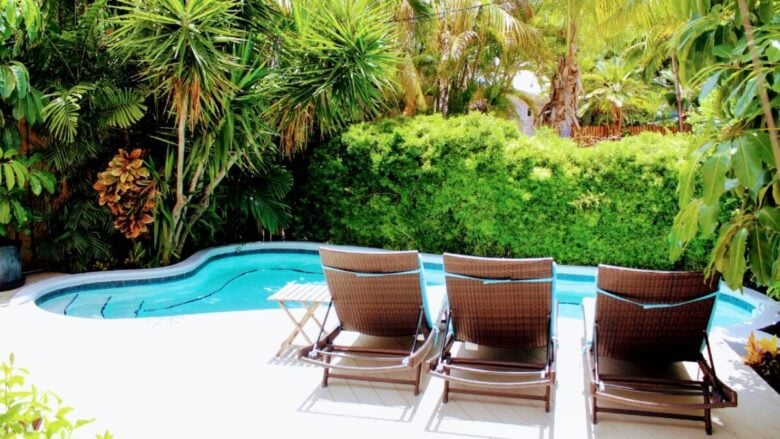 Come arredare il bordo piscina: idee, piante e consigli