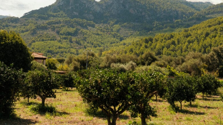 Bedonia, un borgo dell’Appennino emiliano dove godersi un po’ di fresco
