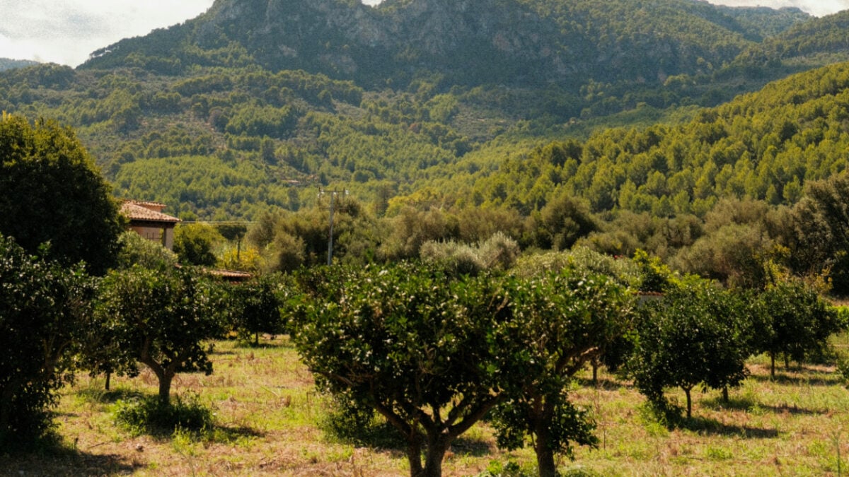Bedonia, un borgo dell’Appennino emiliano dove godersi un po’ di fresco Bedonia, un borgo dell’Appennino emiliano dove godersi un po’ di fresco