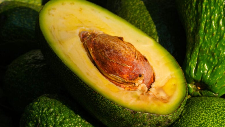Maschere, lozioni e creme all’avocado per una bodycare che nutre e ripara