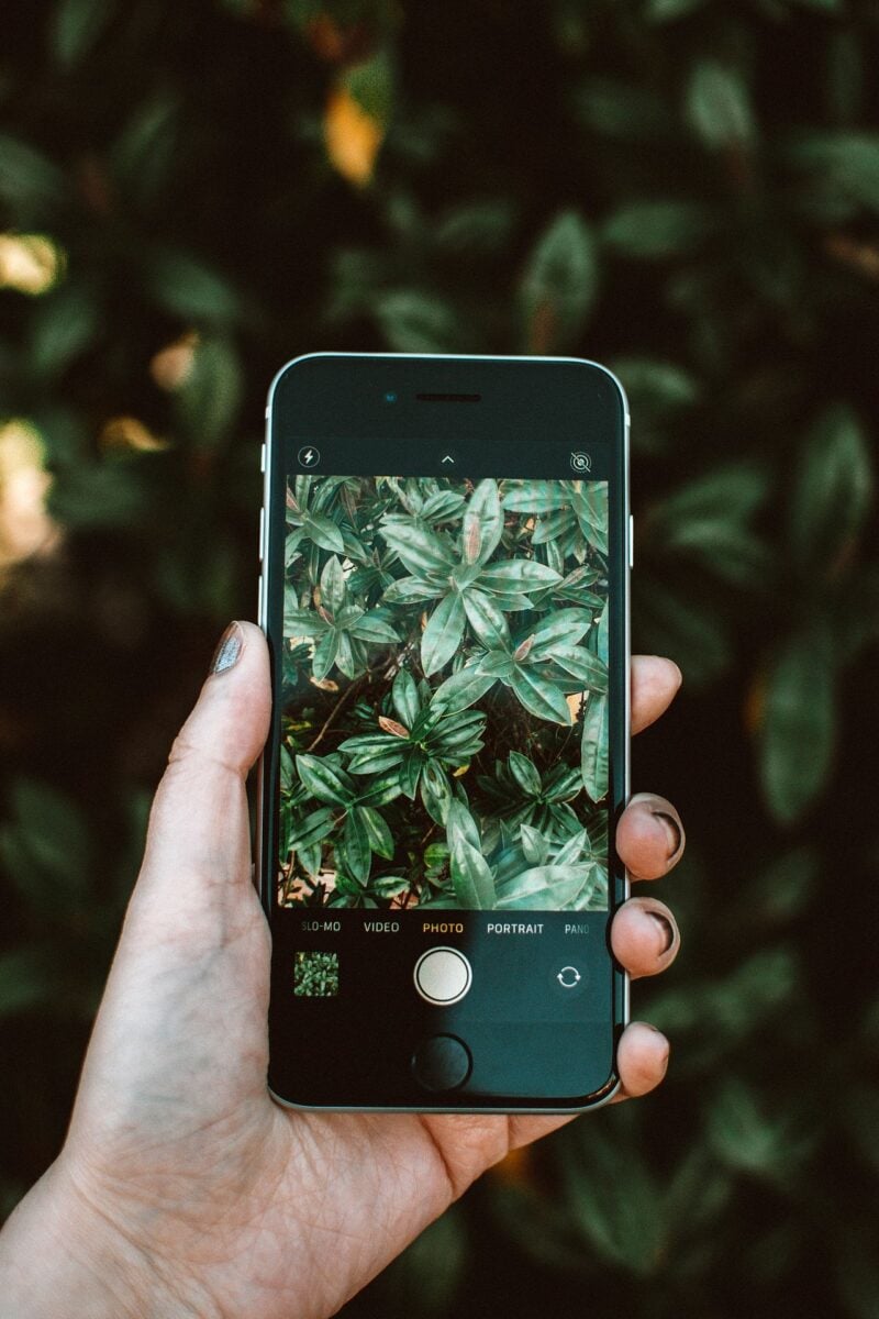 Le migliori app per prendersi cura delle piante: 6 applicazioni da scaricare subito Le migliori app per prendersi cura delle piante: 6 applicazioni da scaricare subito