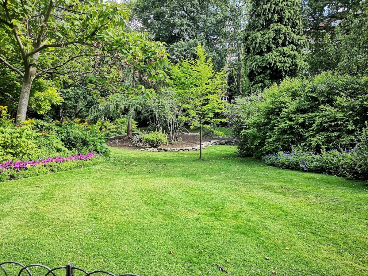 Il segreto dei giardinieri per un prato perfetto in estate: gli errori da evitare quando fa molto caldo Il segreto dei giardinieri per un prato perfetto in estate: gli errori da evitare quando fa molto caldo
