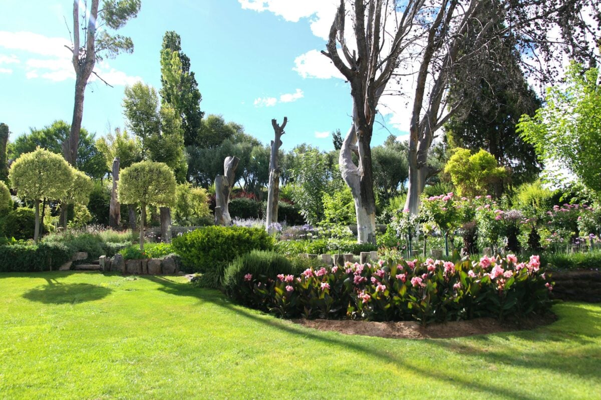 Il segreto dei giardinieri per un prato perfetto in estate: gli errori da evitare quando fa molto caldo Il segreto dei giardinieri per un prato perfetto in estate: gli errori da evitare quando fa molto caldo