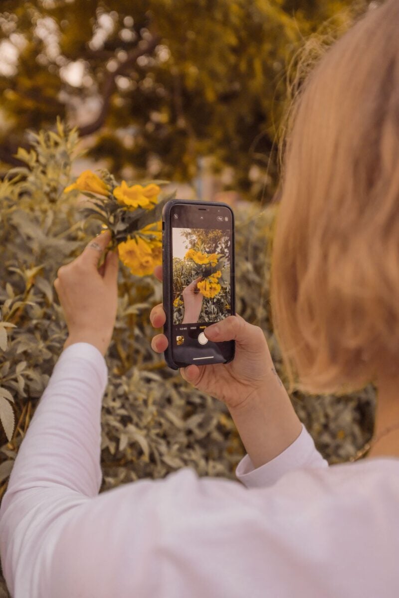 Le migliori app per prendersi cura delle piante: 6 applicazioni da scaricare subito Le migliori app per prendersi cura delle piante: 6 applicazioni da scaricare subito