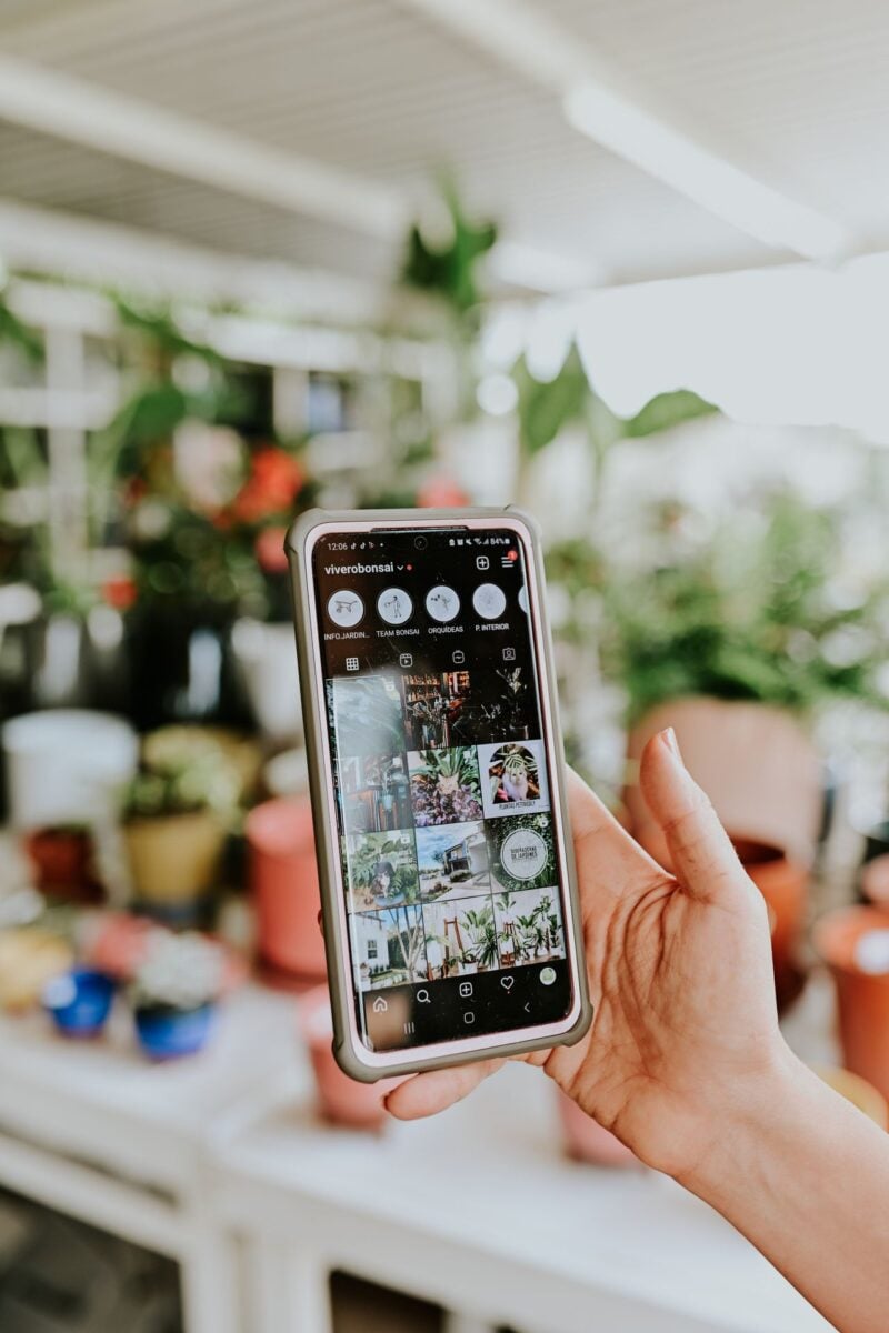 Le migliori app per prendersi cura delle piante: 6 applicazioni da scaricare subito Le migliori app per prendersi cura delle piante: 6 applicazioni da scaricare subito