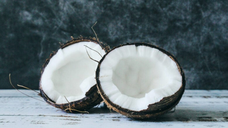 Dolci e gourmand, i profumi al cocco sono i protagonisti dell’Estate 2026