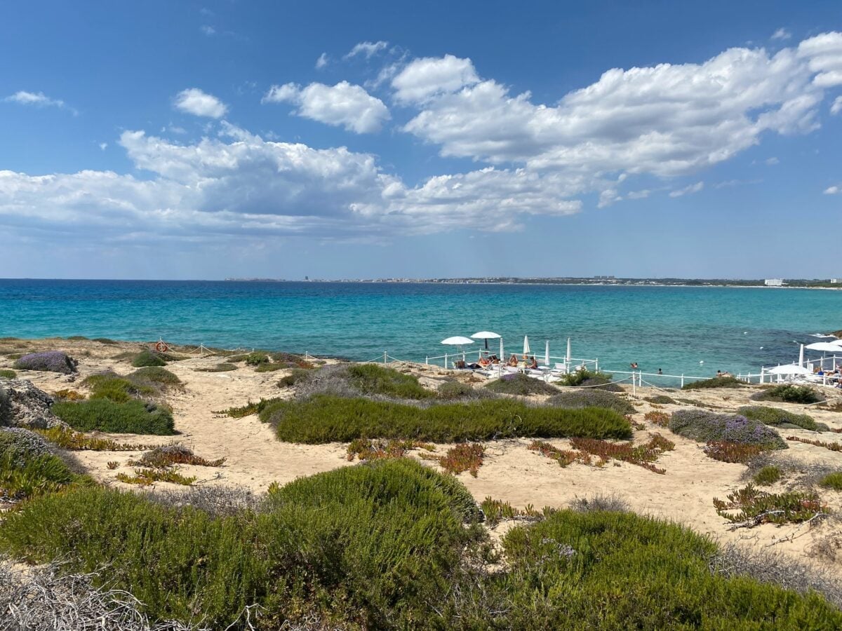 È questa la regione italiana dove andare in vacanza a settembre: mare, eventi e borghi da scoprire nel 2026 È questa la regione italiana dove andare in vacanza a settembre: mare, eventi e borghi da scoprire nel 2026