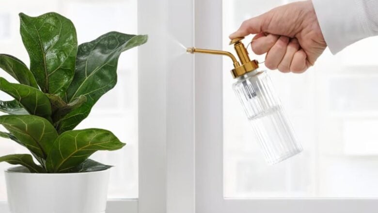 Hai tante piante in casa? Questi accessori IKEA ti semplificano davvero la vita