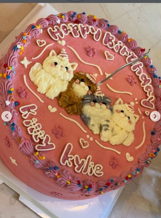 Kylie Jenner, cosa ha indossato per il suo compleanno in rosa FOTO Kylie Jenner, cosa ha indossato per il suo compleanno in rosa FOTO