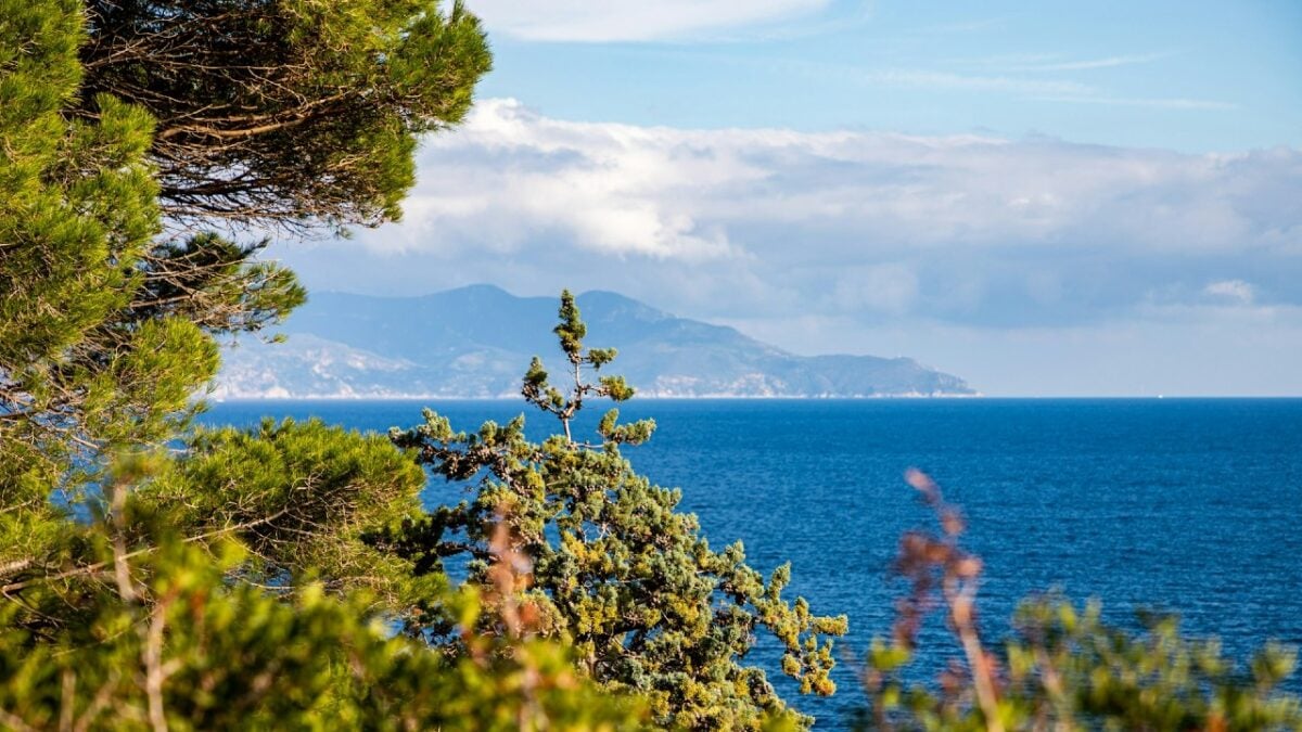 Isola del Giglio a settembre: cosa fare, spiagge e consigli di viaggio Isola del Giglio a settembre: cosa fare, spiagge e consigli di viaggio