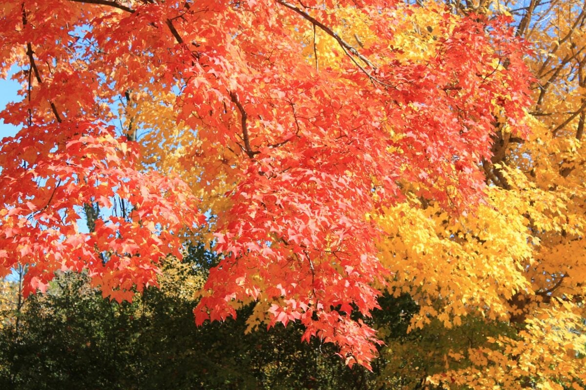 5 tendenze viaggio per l’autunno-inverno 2026: Ecco i travel trend della stagione fredda 