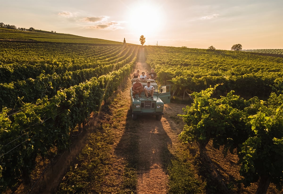 Weekend d’autunno: cinque esperienze tra vigne, cantine e sapori locali per gli amanti del vino Weekend d’autunno: cinque esperienze tra vigne, cantine e sapori locali per gli amanti del vino