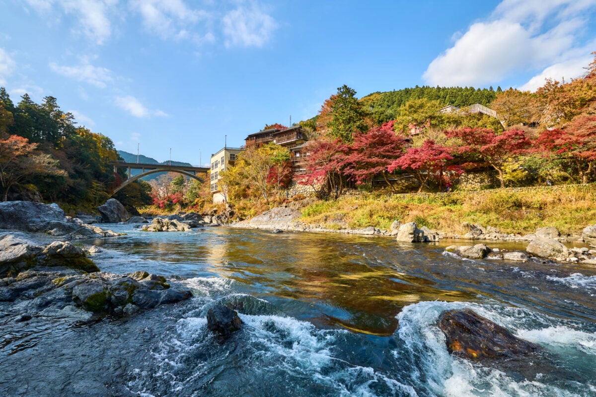 Autunno a Tokyo: dove ammirare il foliage fino ai primi di dicembre