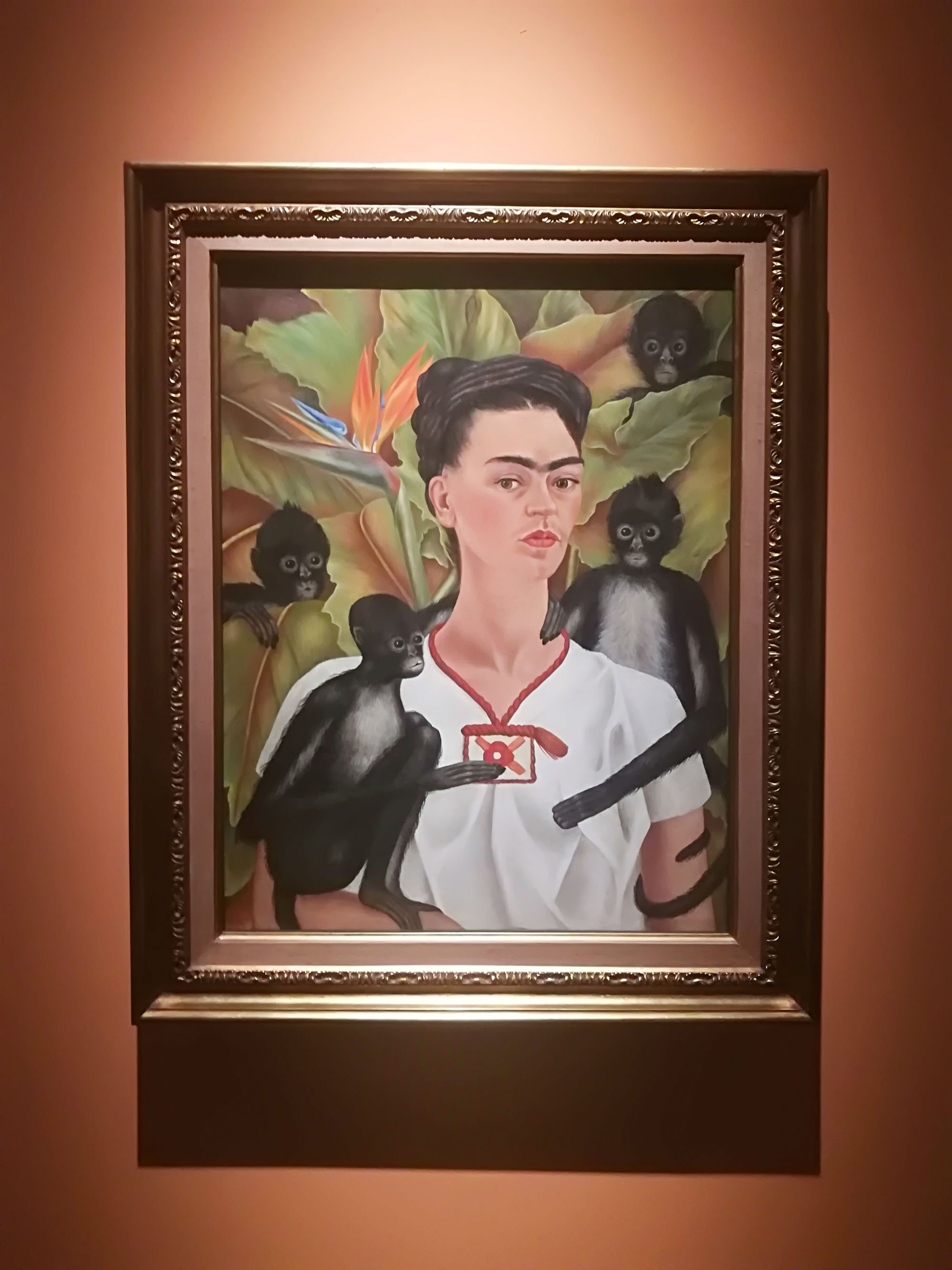 Frida Kahlo mostra Mudec