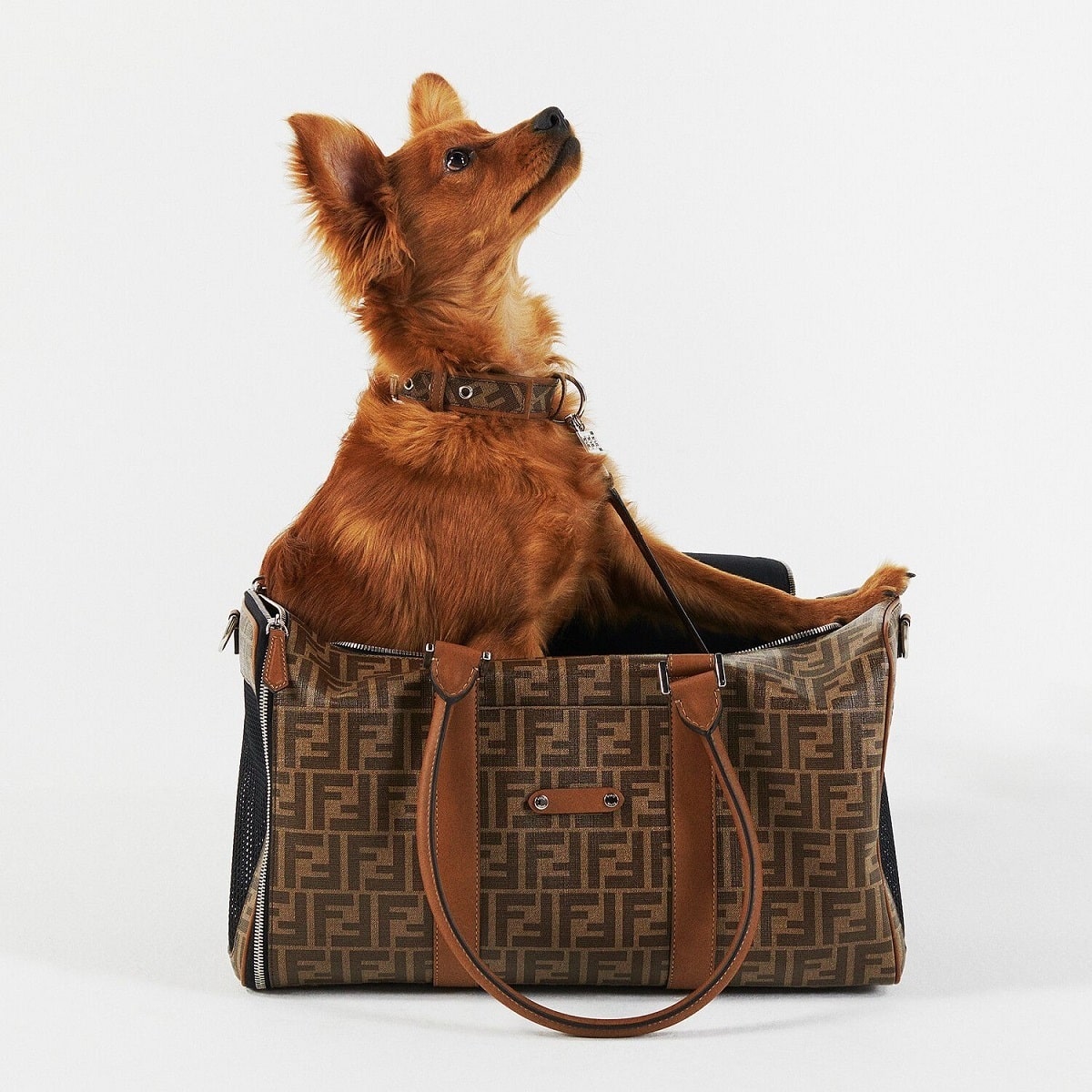 fendi_accessori_borsa