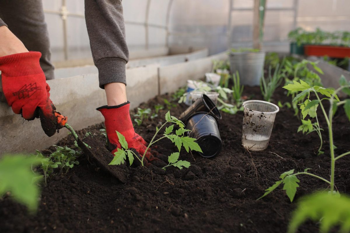 Come fare l’orto sul balcone: 5 consigli fondamentali