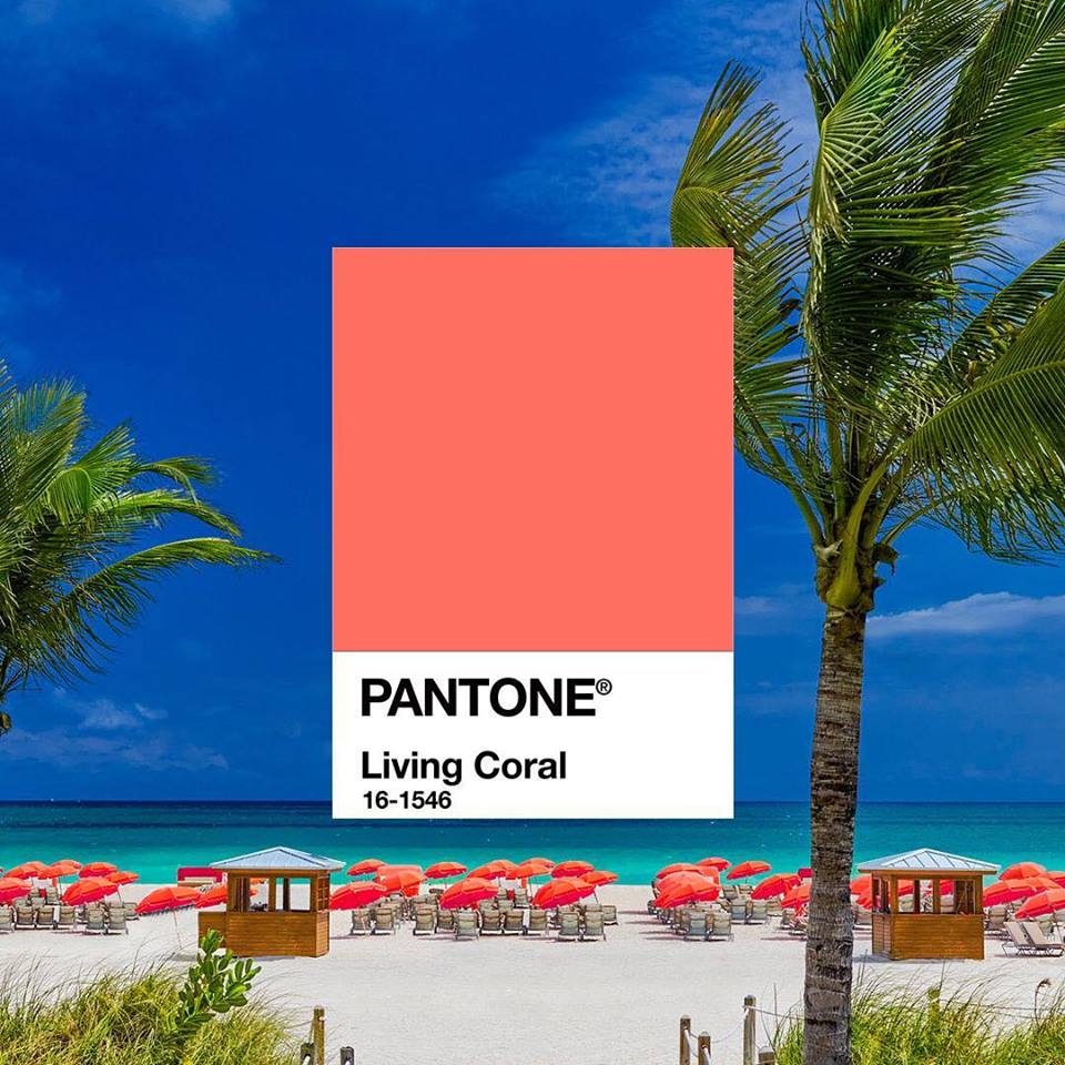 Brillante e armonioso il Living Coral è il colore del 2019 secondo Pantone