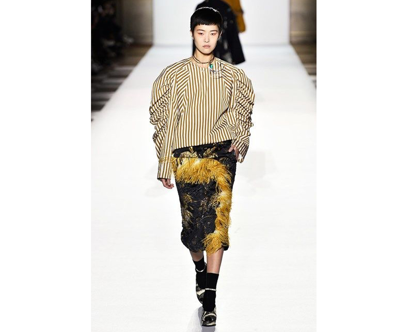 piume dries van noten