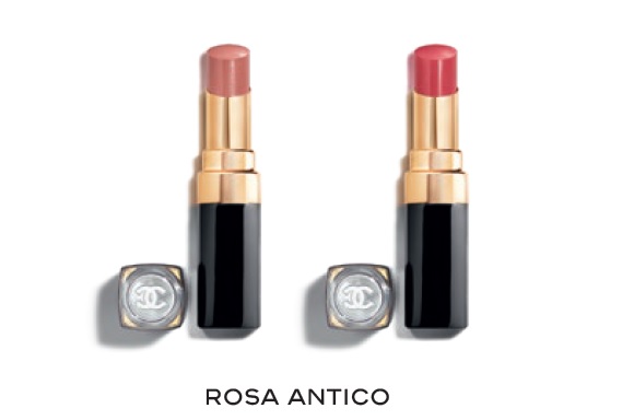 rosa antico