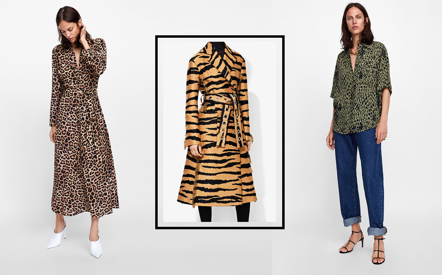 stampa animalier 2019